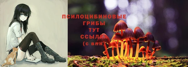 экстази Белокуриха