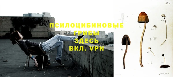 экстази Белокуриха
