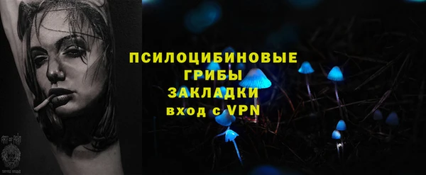 экстази Белокуриха