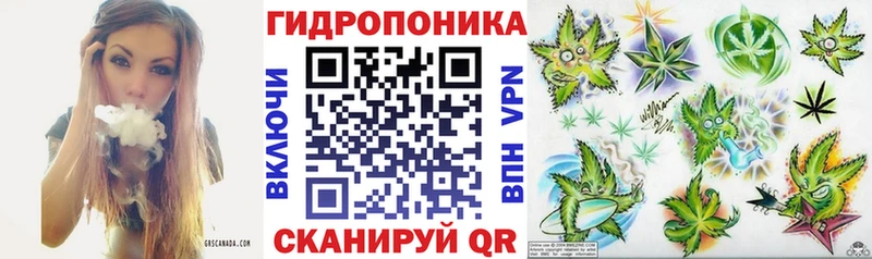Марихуана гибрид  Кукмор 